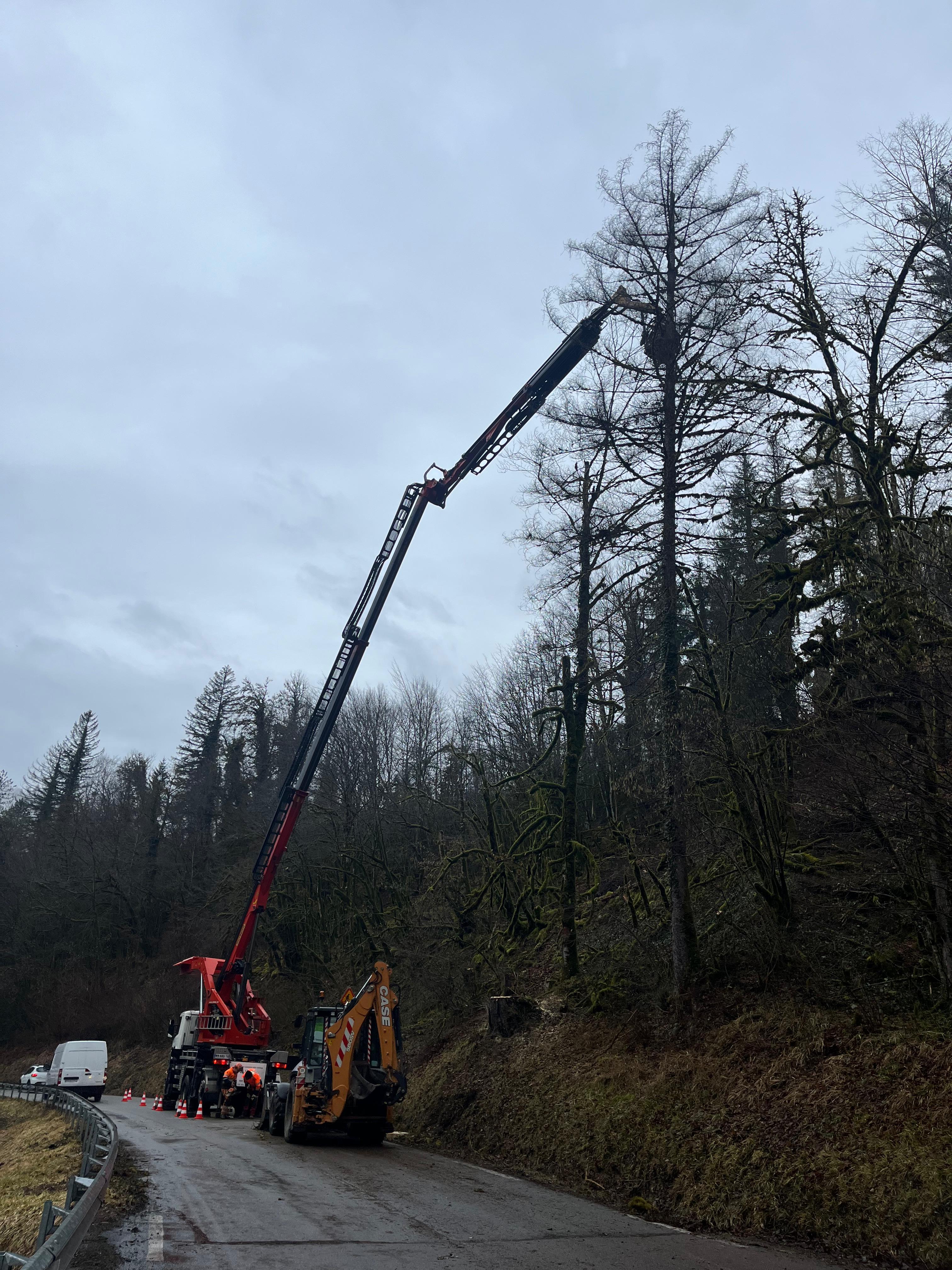 Sécurisation de route par abattage d'arbres dans le Jura — SAS POLYVIER